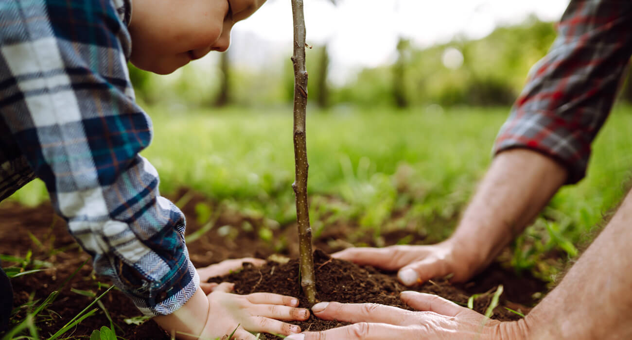 Father and son planting a tree to illustrate sustainability
