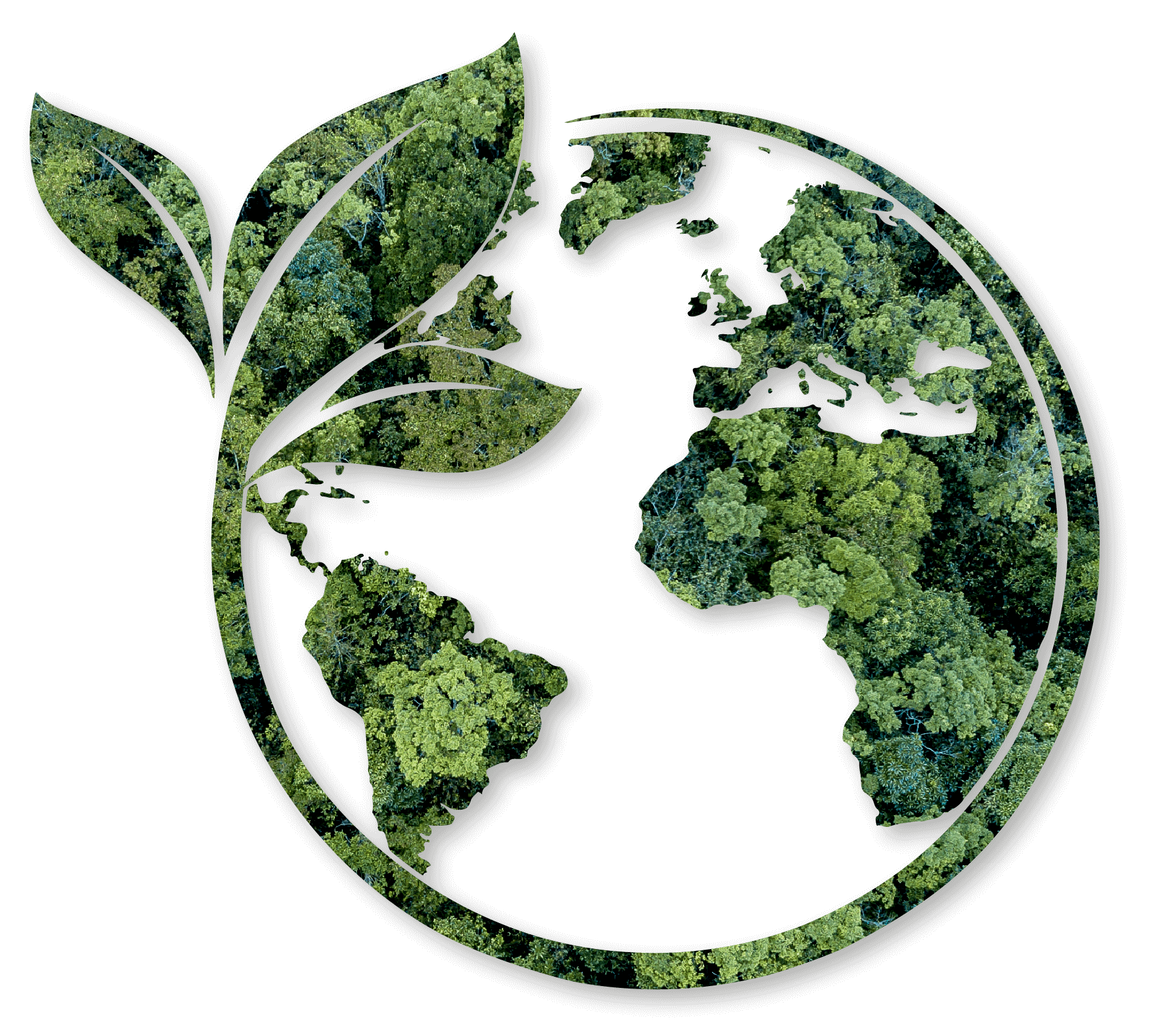 Sustainability rainforest globe