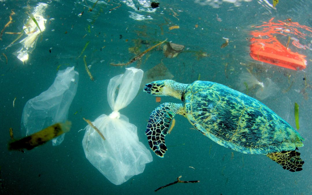 10 Shocking Plastic Packaging Statistics