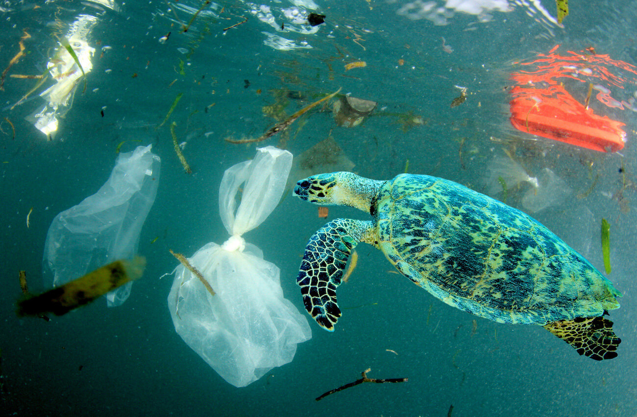 10 shocking plastic packaging statistics