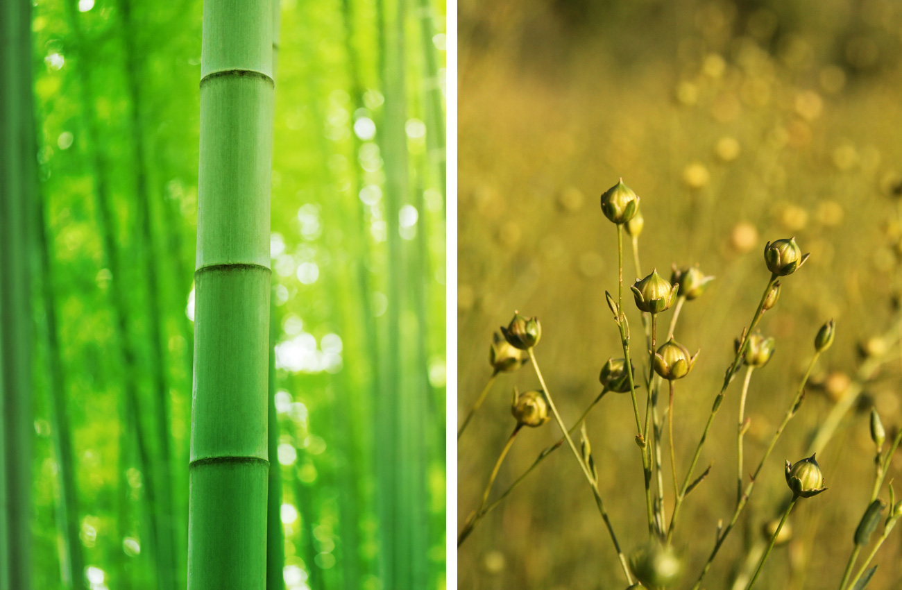 Bamboo and flax materials for environmentally friendly packaging