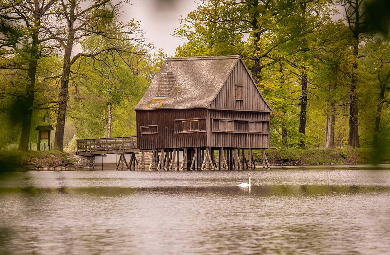 Eco property house on stilts