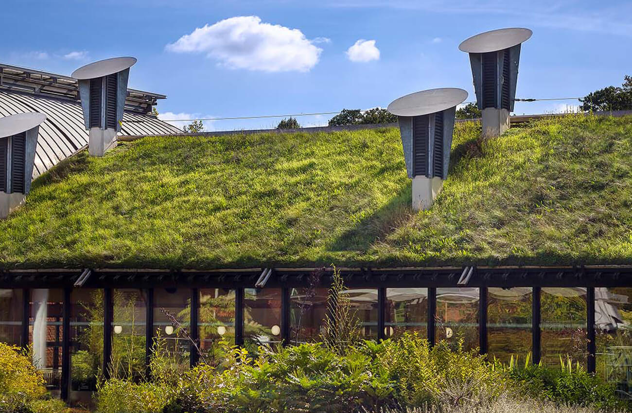 Eco property living roof