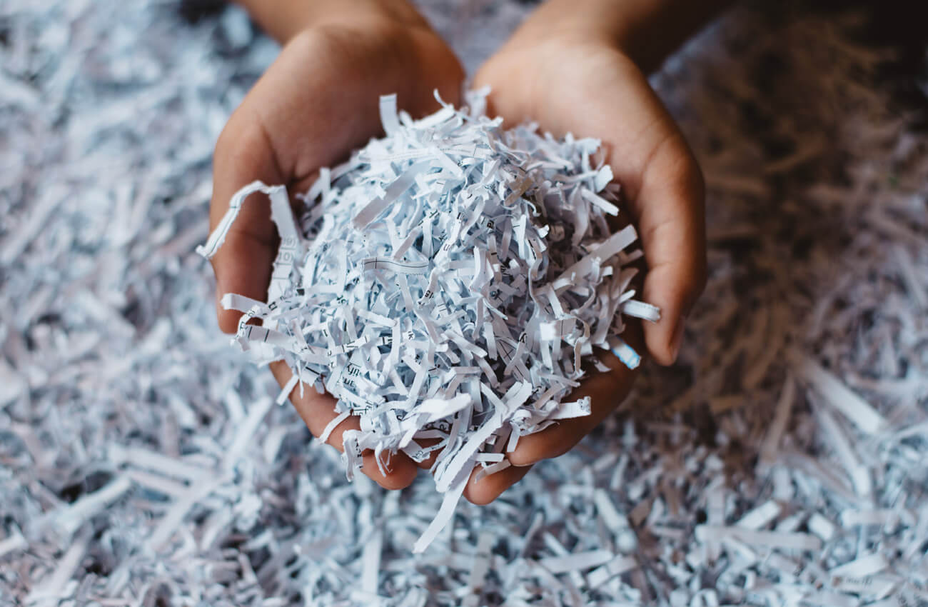 eco-friendly packaging shredded paper