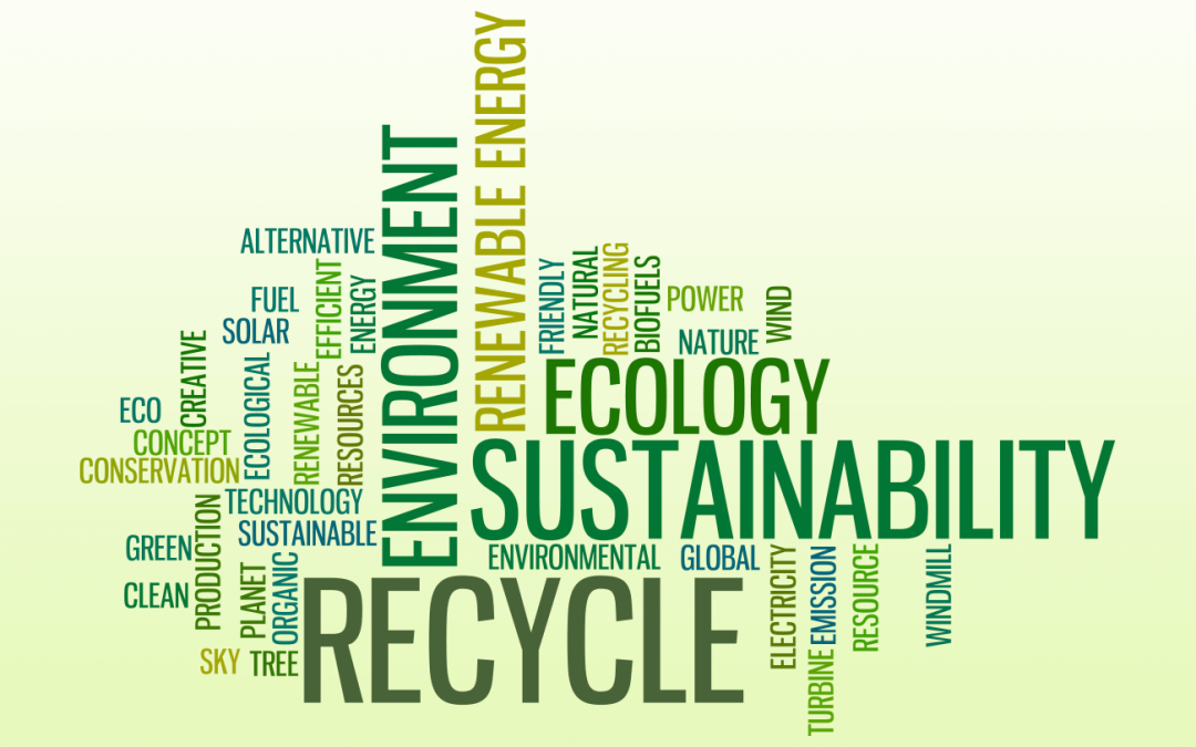 What makes packaging truly eco-friendly?