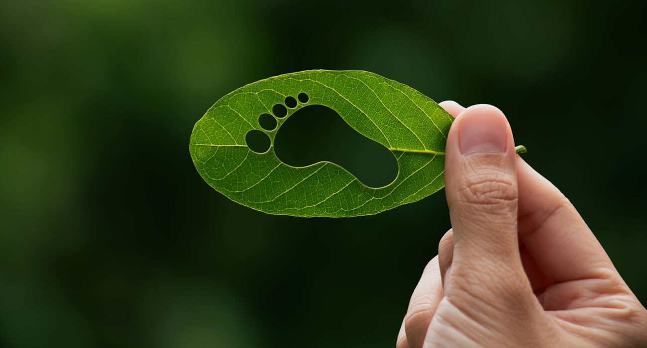 carbon footprint leaf